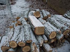 Snow, Cold weather, Wood heating